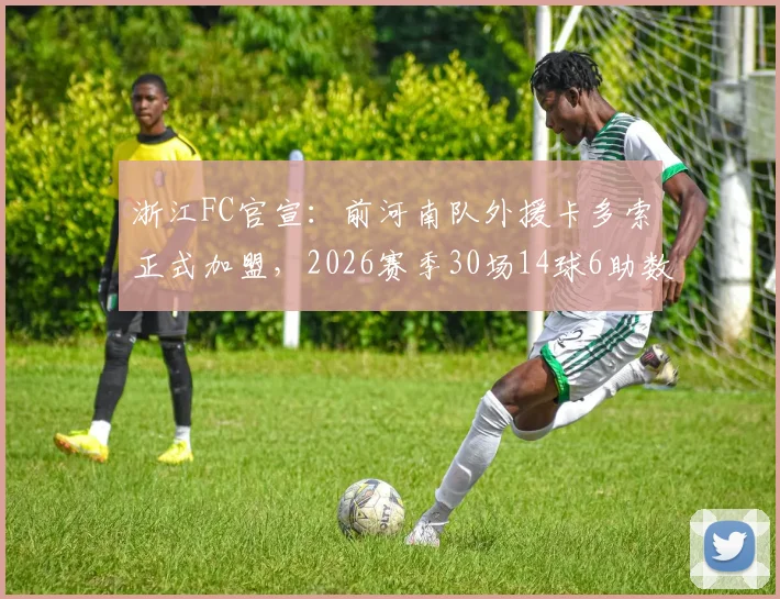浙江FC官宣：前河南队外援卡多索正式加盟，2026赛季30场14球6助数据解析，他将顶替谁？