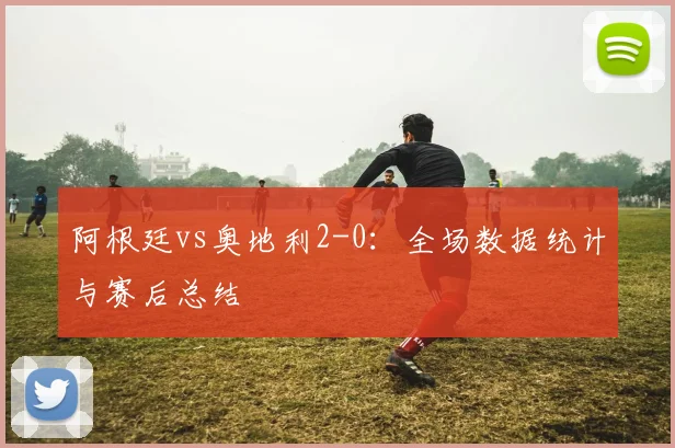 阿根廷vs奥地利2-0：全场数据统计与赛后总结
